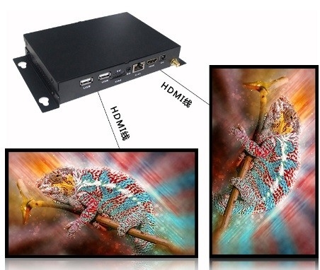Contrôle synchrone de la carte 8~32GB HDMI Media Player de TF coulant le joueur HDMI